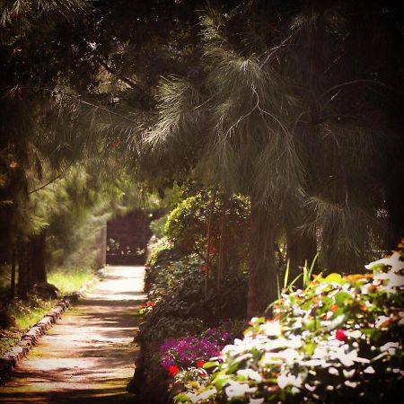 Lillypond Camp 호텔 Elmenteita 외부 사진